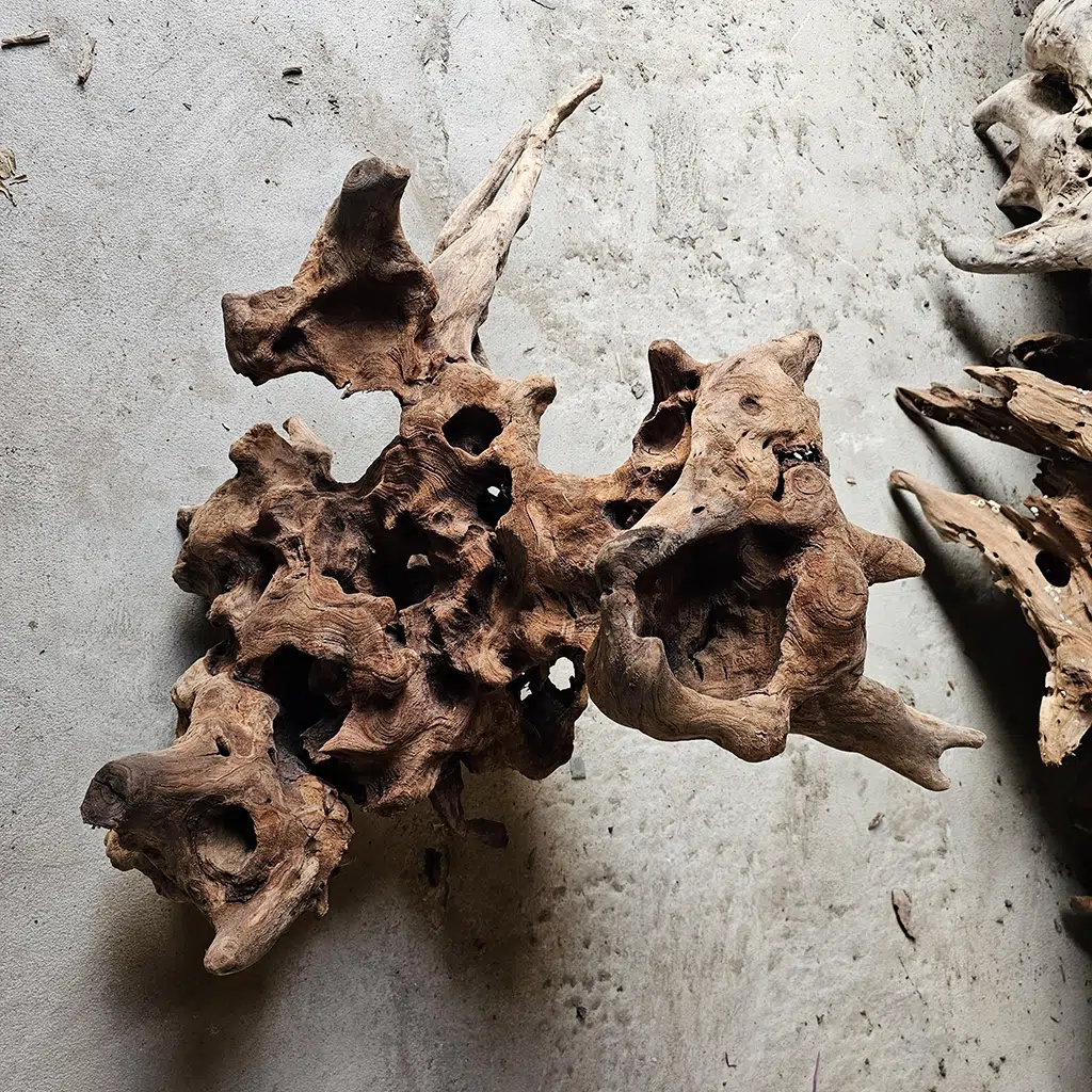 Presoaked Exotic Driftwood