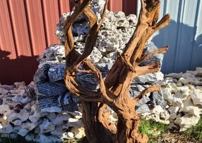 Exotic Malaysian Driftwood