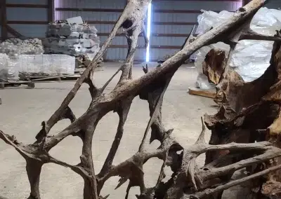 Jumbo sized Malaysian exotic wood
