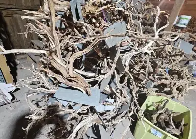 Assorted mounted driftwood